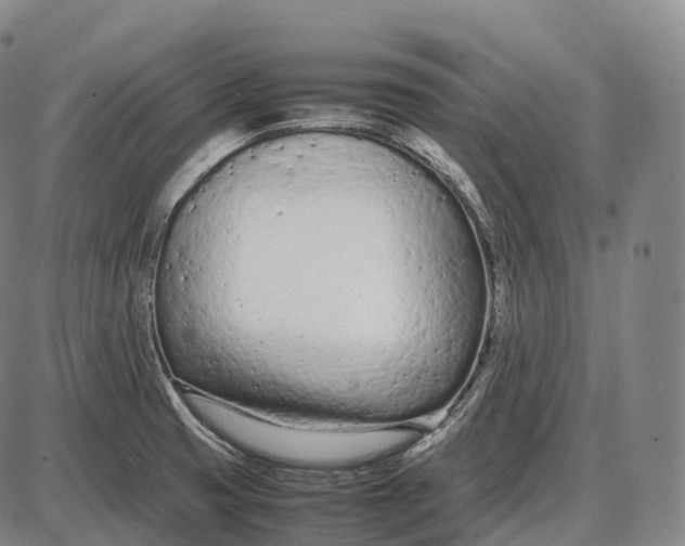 X0000085011425200703261143