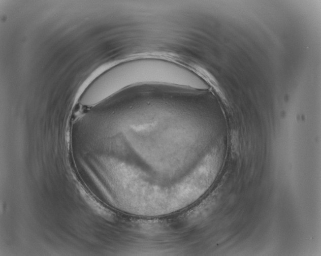 X0000085011428200703261143