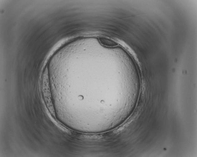 X0000085011429200703261143