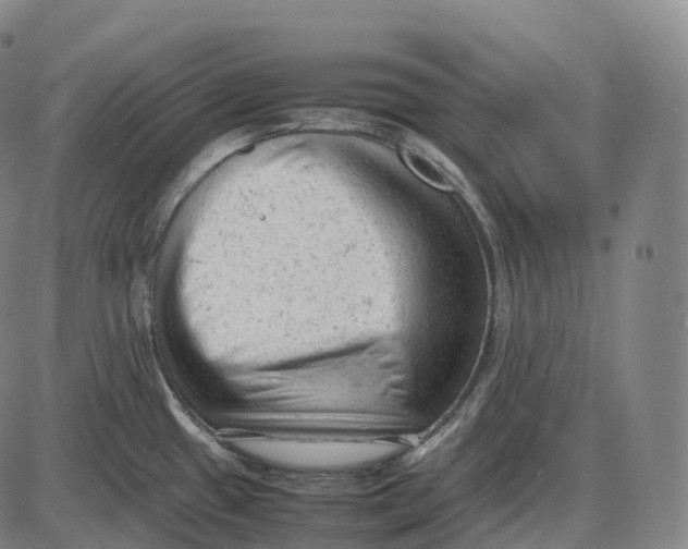 X0000085011433200703261143