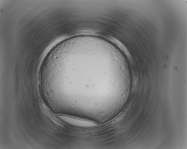 X0000085011435200703261143