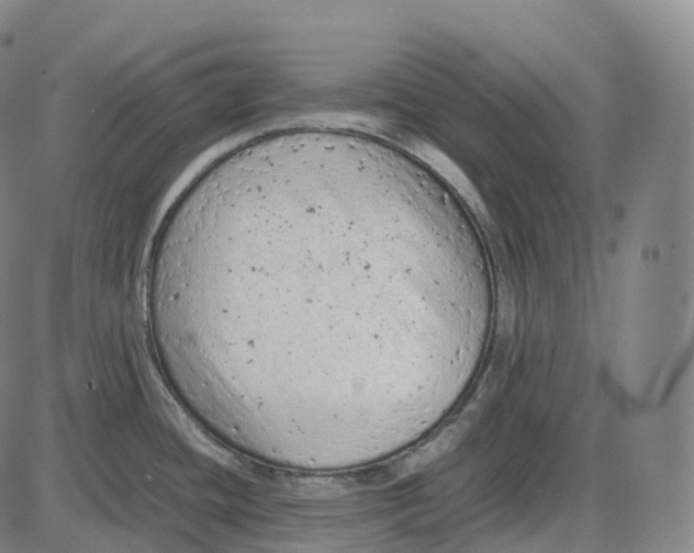 X0000085011436200703261143