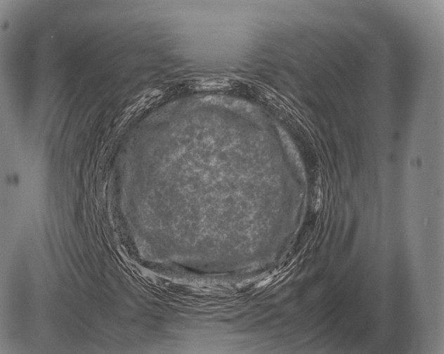 X0000085011441200703261142