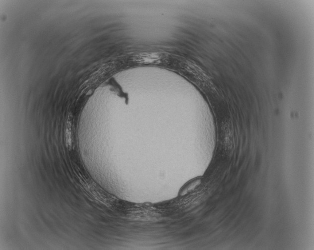 X0000085011442200703261142