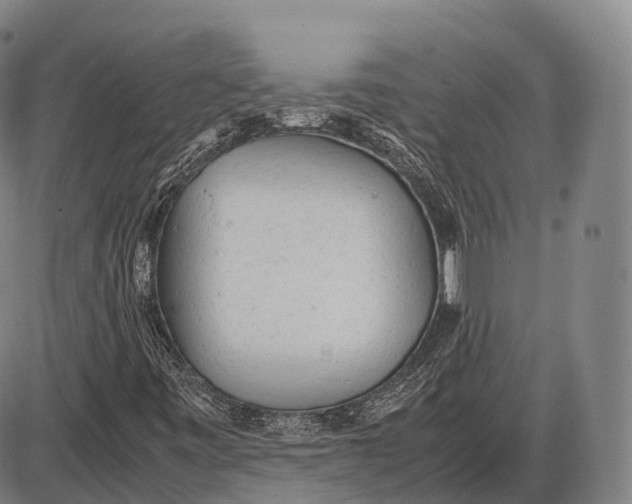 X0000085011443200703261142