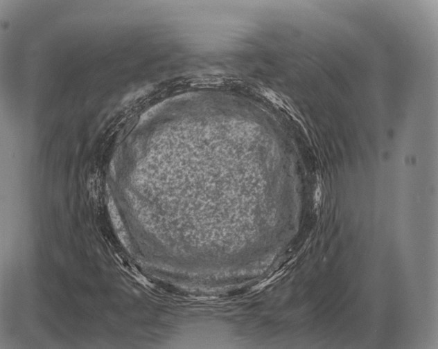 X0000085011445200703261142