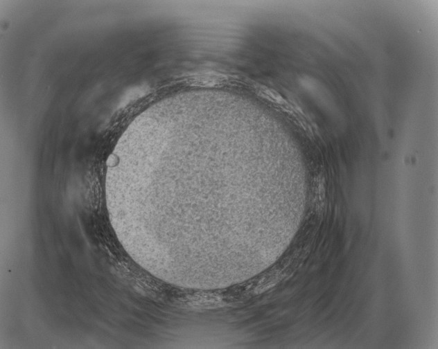 X0000085011446200703261142