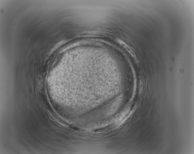 X0000085011449200703261142