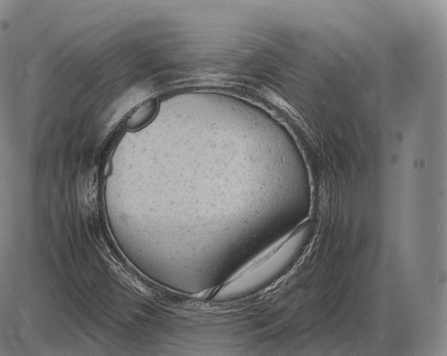 X0000085011450200703261142