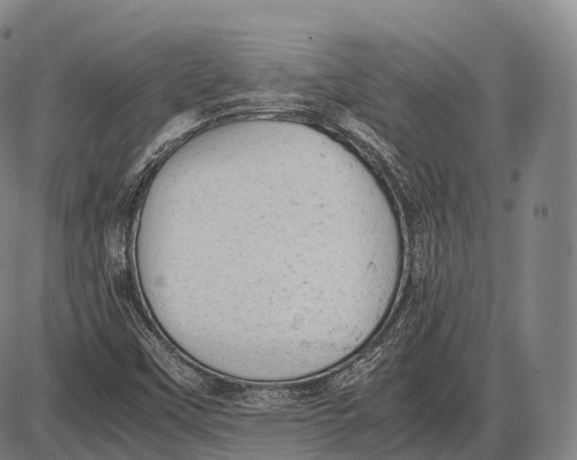 X0000085011451200703261142