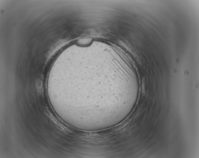 X0000085011452200703261142