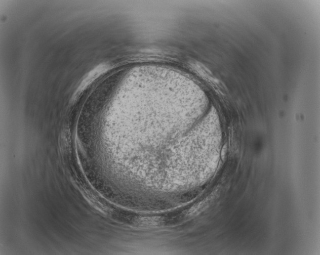 X0000085011453200703261142