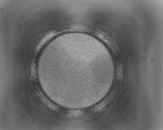 X0000085011454200703261142