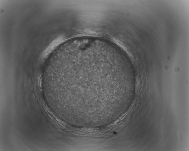 X0000085011455200703261142