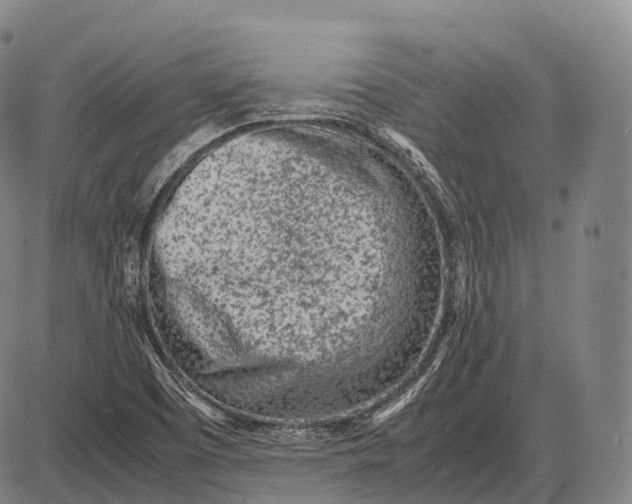 X0000085011457200703261142