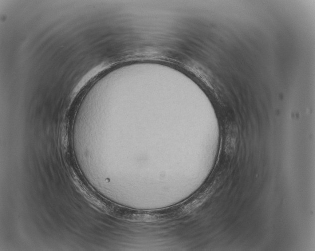 X0000085011458200703261142