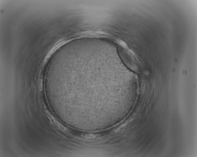 X0000085011459200703261142