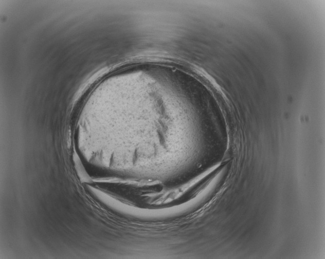 X0000085011461200703261142