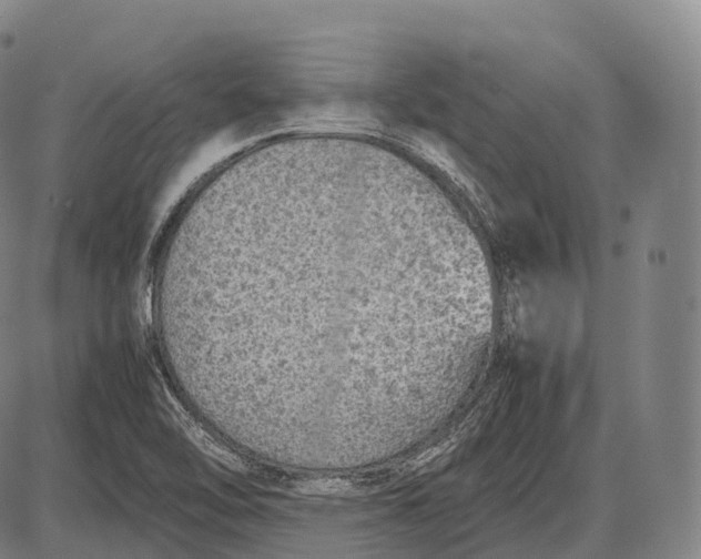 X0000085011462200703261142