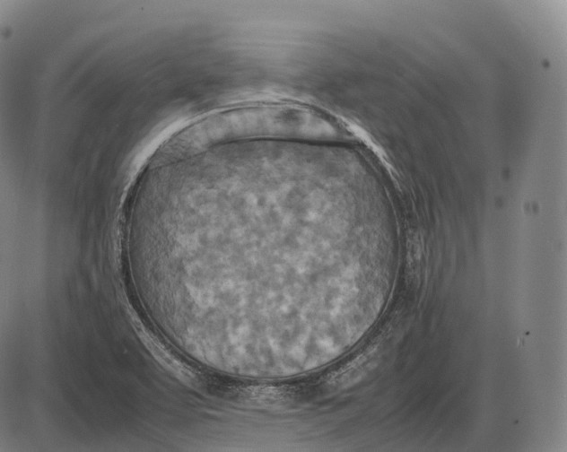 X0000085011463200703261142