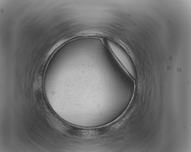 X0000085011465200703261142