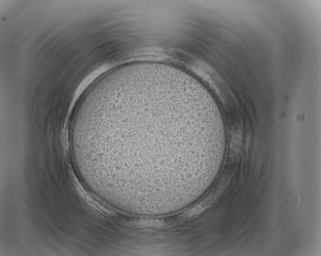 X0000085011466200703261142