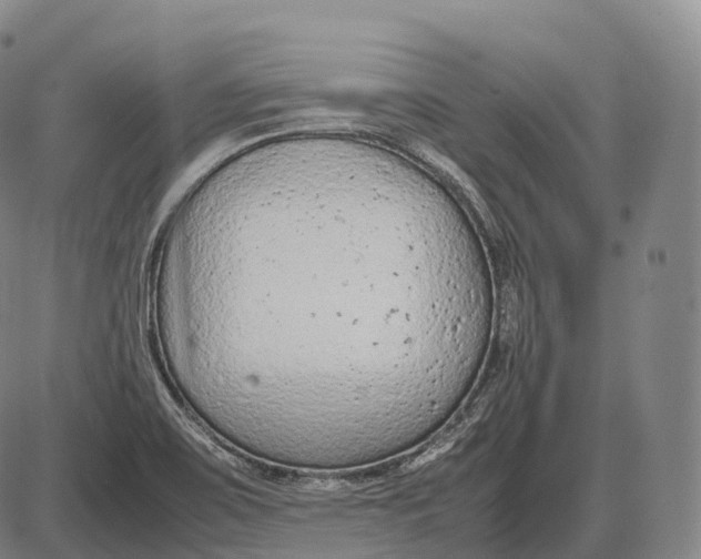 X0000085011467200703261142