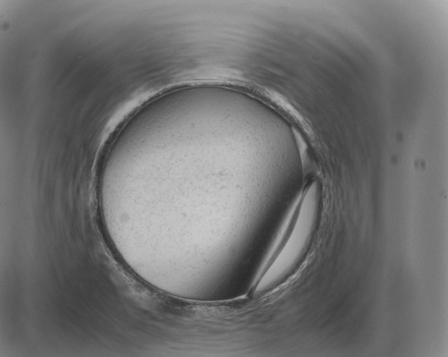 X0000085011469200703261142