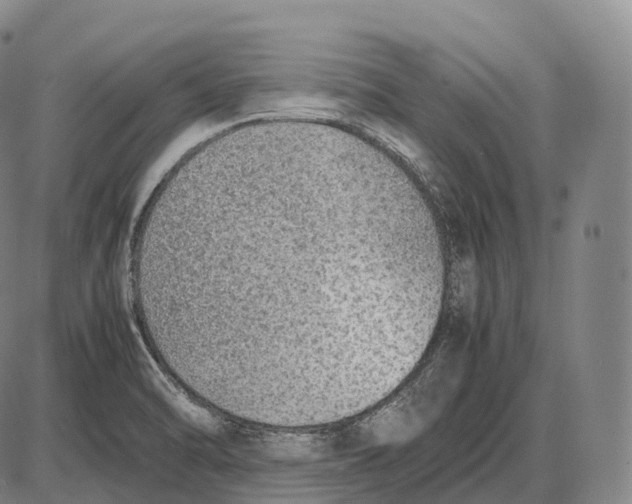 X0000085011470200703261142