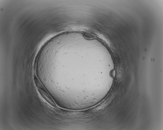 X0000085011471200703261142