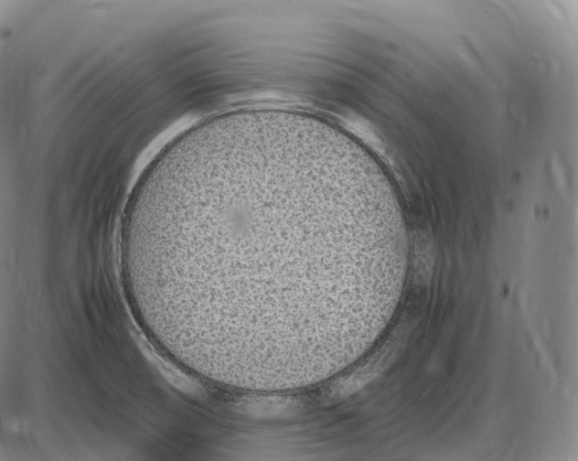 X0000085011474200703261142