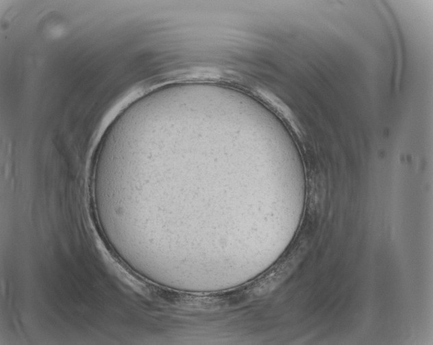 X0000085011475200703261142