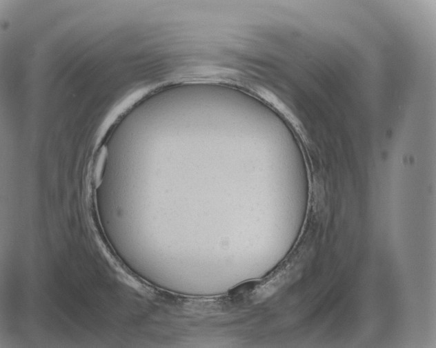 X0000085011477200703261142