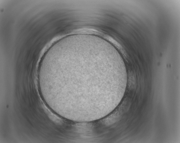 X0000085011478200703261142