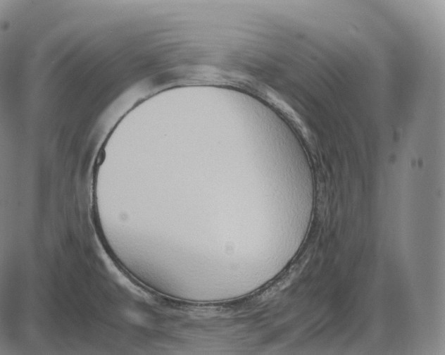 X0000085011479200703261142