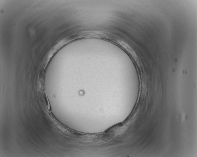 X0000085011481200703261142