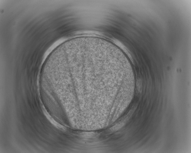 X0000085011482200703261142