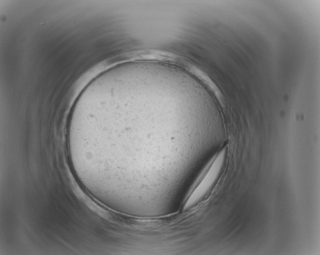 X0000085011483200703261142