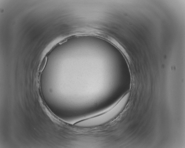 X0000085011485200703261142