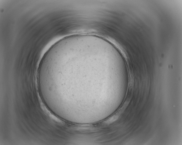 X0000085011486200703261142