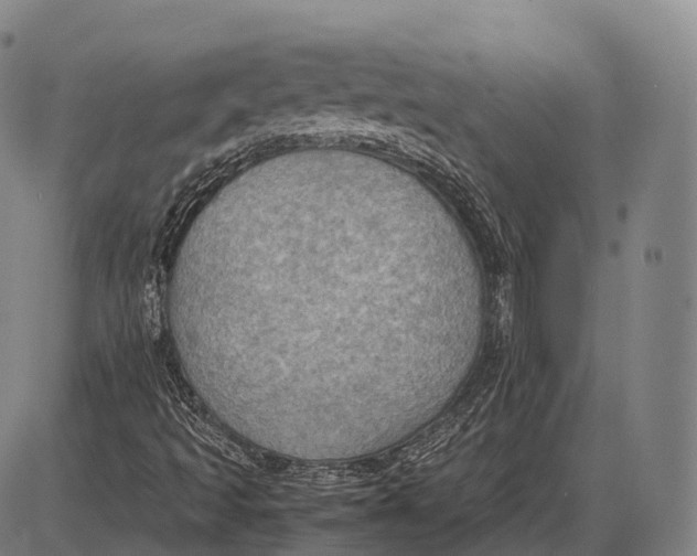 X0000085011493200703261141