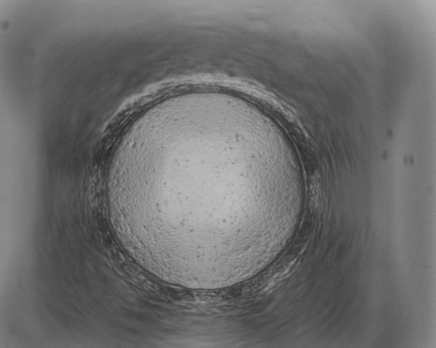 X0000085011494200703261141