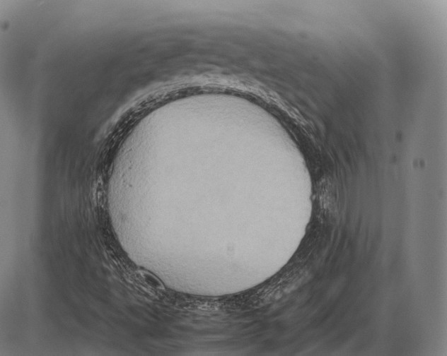 X0000085011495200703261141