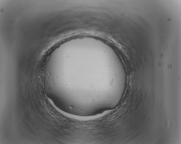 X0000085011496200703261141