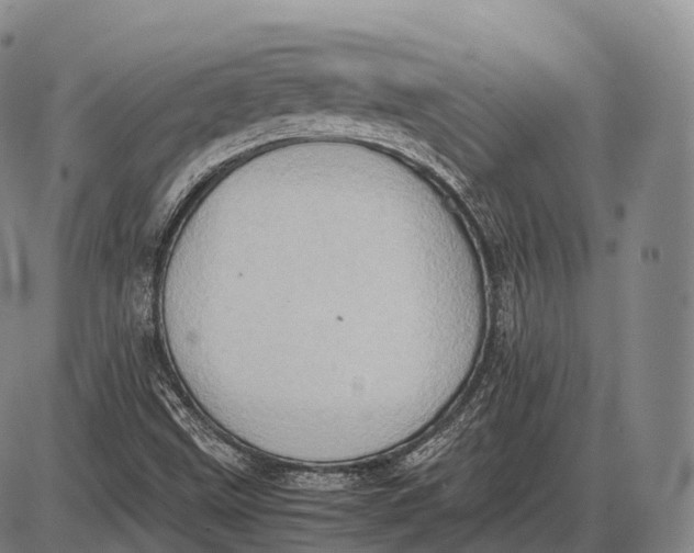 X0000085011499200703261141