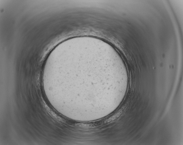 X0000085011500200703261141