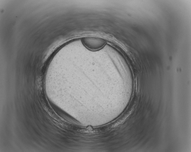 X0000085011501200703261141