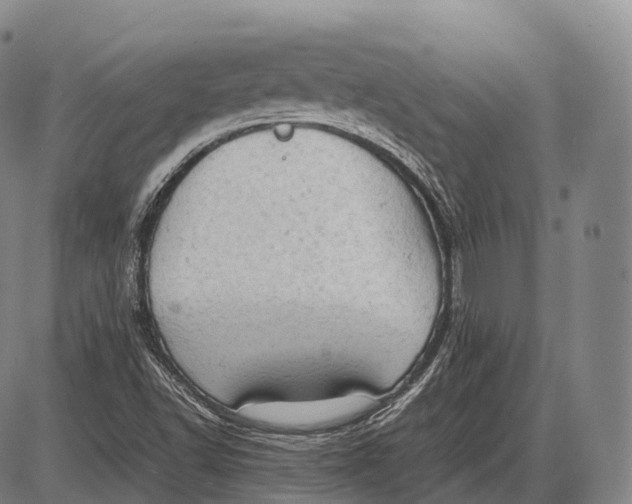 X0000085011502200703261141