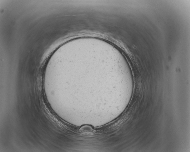 X0000085011504200703261141