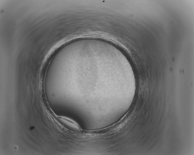 X0000085011506200703261141